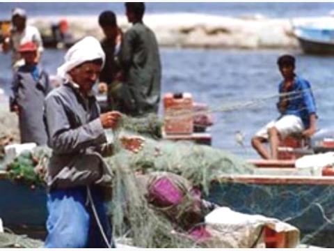 موقع مصري: اليمن تحتجز مركبًا على متنه  24 صيادًا مصريًا