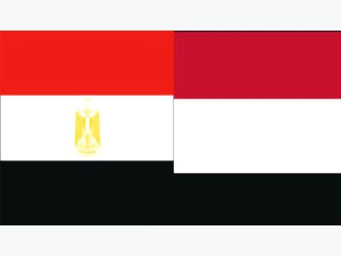 السفير المصري : ما نشرته الاهرام عن اليمن اجتهاد لا يعكس موقف مصر