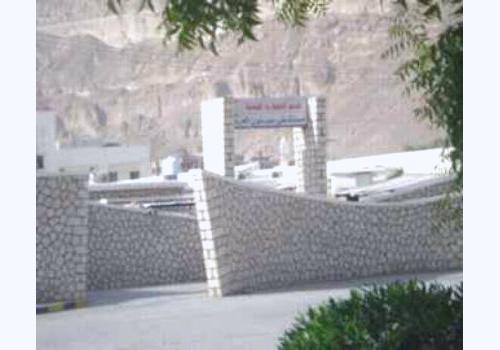 طلاب من حضرموت يعودون إلى مناطقهم خوفا من الحمى في عدن