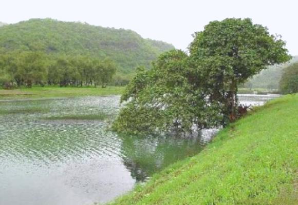 50 طنا من المساعدات الغذائية تصل المهرة من سلطة عمان