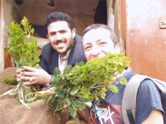 اليمن: القات طريق  إلى الموت المبكر