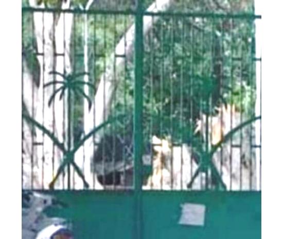 السفارة السعودية الهدف الثاني للقاعدة في اليمن