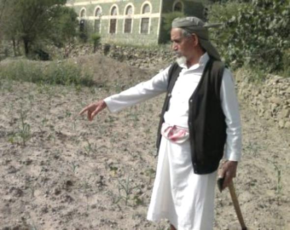 انخفاض الإنتاج الزراعي يهدّد بكارثة غذائية في اليمن