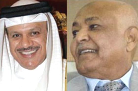 وفد المجلس الوطني يلتقي الزياني في دبي