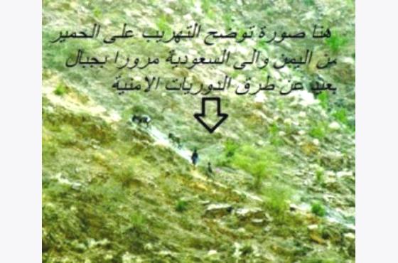 سوق الرقو في صعدة.. بوابة دخول السلاح إلى السعودية (تحقيق)