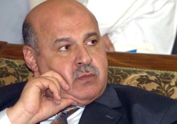 من هو نائب الرئيس المصري محمود مكي