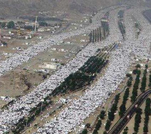 مكة المكرمة: 85% من حجاج بيت الله الحرام يقضون يوم التروية بمشعر منى