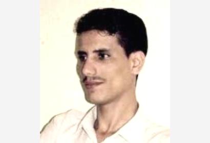 أكاديميون يصدرون الغباء
