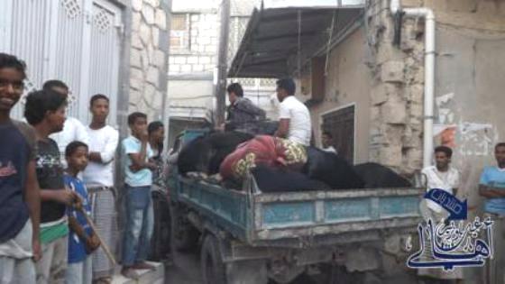 عناصر الحراك الجنوبي تنشر صورة لـ«مستوطنين شماليين» يغادرون غيل باوزير تحت التهديد