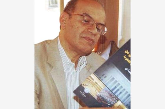 أكاديمي مصري بارز يحذر اليمنيين: لم يكن هناك ارتياح أميركي لنشأة الوحدة اليمنية