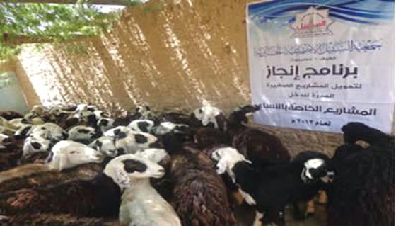 تمويل 20 مشروعا صغيرا مدرا للدخل بتكلفة 3 ملايين و 300 ريال في مديرية تريم