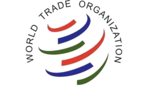 مناقشة الآثار المتوقعة لإنضمام بلادنا لمنظمة التجارة العالمية WTO