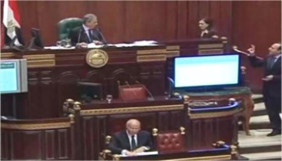 مؤيدو السيسي يختلفون بشأن خريطة الطريق