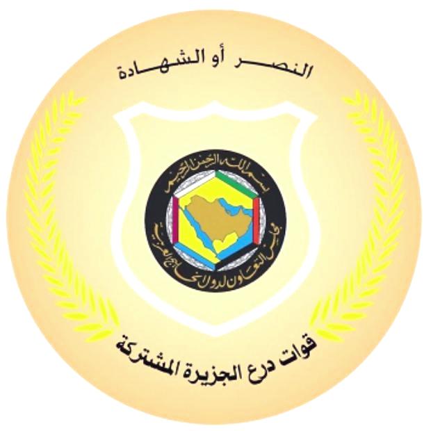 الرئاسة اليمنية تنفي وصول مقاتلات "إف-16" إلى مطار عدن