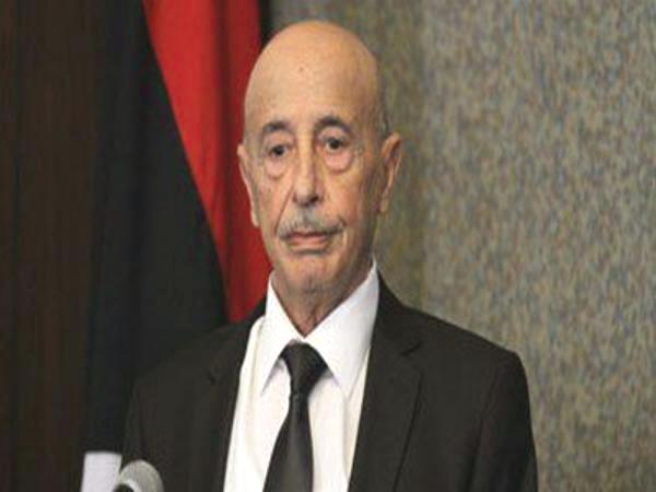 رئيس مجلس النواب الليبي: الحوار الوطني بدأ يأخذ مساره الصحيح