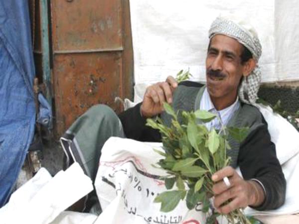 في الحرب اليمنية... لا تسلية غير القات