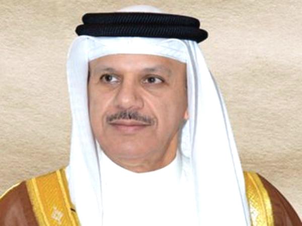 الزياني يشيد بقرار إنشاء لجنة للتحقيق بانتهاكات اليمن