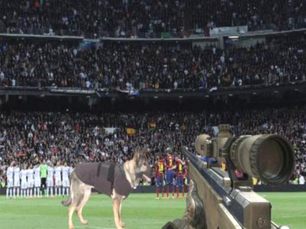 كلاب وقناصون و1500 شرطي لتأمين "كلاسيكو" الأرض!