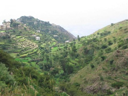 الأرصاد يتوقع طقس بارد على المرتفعات الجبلية