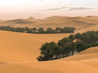 الأرصاد يتوقع طقساً صحواً وبارداً على المرتفعات الجبلية والمناطق الصحراوية