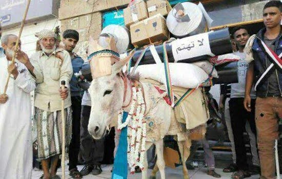 تكريم حمار ساهم في كسر الحصار على مدينة تعز (صورة)