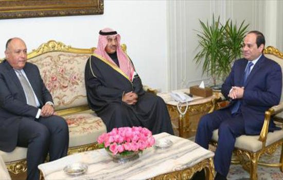 وزير الخارجية المصري: قرار السعودية بالتدخل البري في سوريا "منفرد‎"