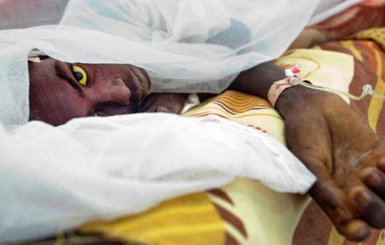 أنجولا تعلن وفاة 37 شخصاً بالحمى الصفراء