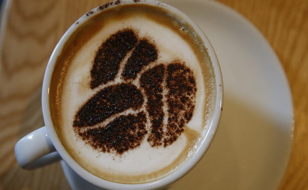 استهلاك الزوجين للكافيين يزيد من مخاطر الإجهاض