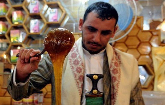 الحرب تقوض إنتاج العسل اليمني الشهير