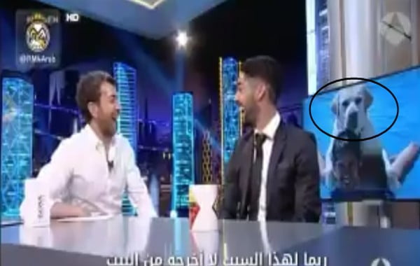 بالفيديو.. عشاق برشلونة غاضبون من إيسكو بسبب كلبه "ميسي"
