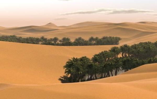 الأرصاد: طقس حار وجاف في المناطق الصحراوية وغائم جزئيا بالمناطق الساحلية