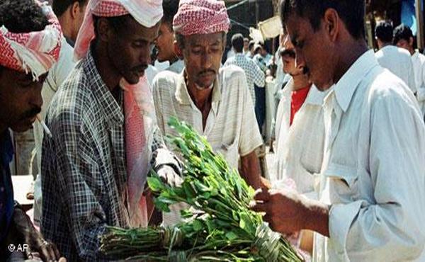 سلطات عدن تمنع دخول القات إلى المدينة