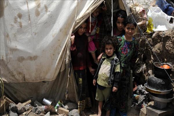 الحكومة تبحث مع منظمات أممية دعم الأعمال الإنسانية والإغاثية في اليمن