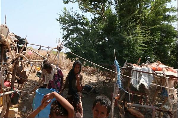 خور عميرة في لحج.. معاناة في سبيل الحفاظ البقاء