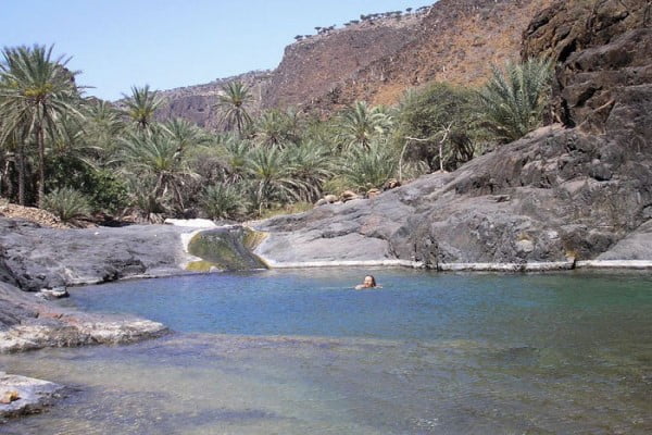 سقطرى ضمن أهم المواقع البحرية العالمية النادرة