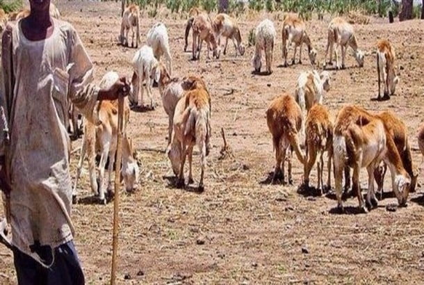 السودان: مقتل العشرات حرقاً في نزاع بين قبيلتين