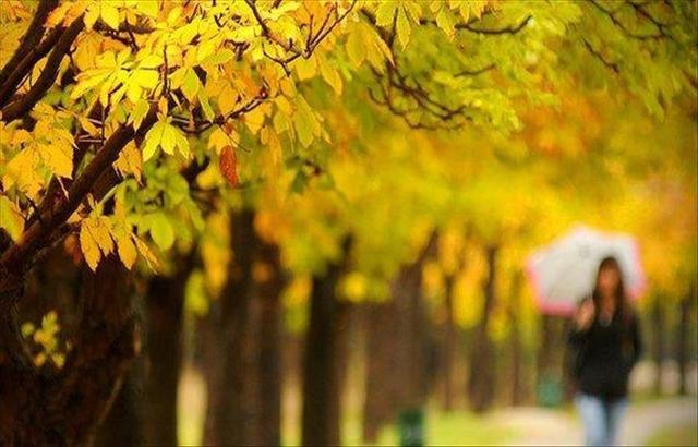 تأملوا تصحوا.. 11 فائدة لرياضة التأمل