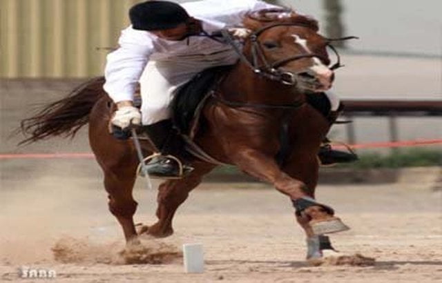 منتخب الفروسية يصل سلطنة عمان للمشاركة بتصفيات بطولة العالم لالتقاط الأوتاد