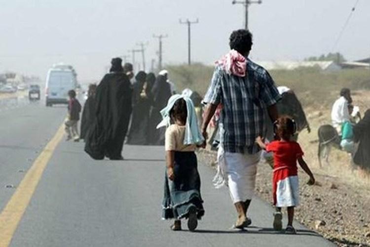 الأمم المتحدة تعلن نزوح نحو 81 ألف أسرة من الحديدة