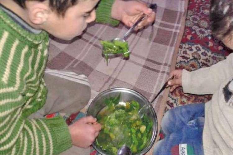 الجوع يجبر سكان قرية بمحافظة صنعاء على أكل أوراق الشجر