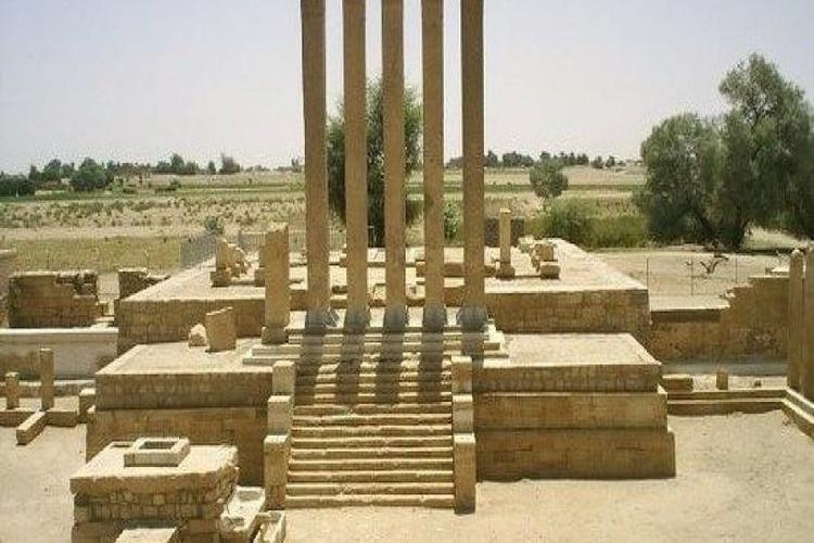 مأرب: توزيع 30 طنا من بذور القمح للمزارعين