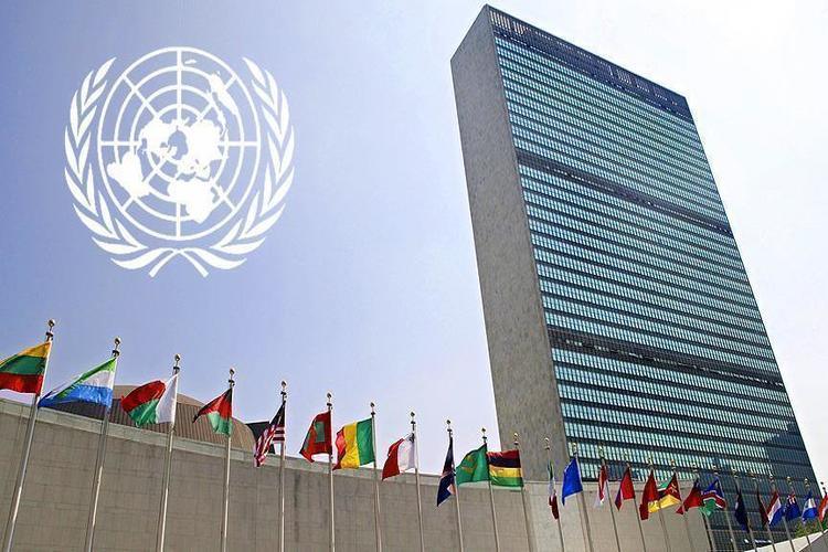 الأمم المتحدة تطالب بتحقيق بوفاة أحد موظفيها بسجون الحوثيين في اليمن