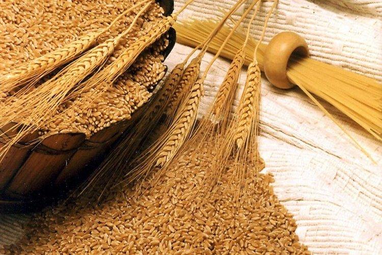 الاعلام الاقتصادي يحذر من ازمة قمح في اليمن جراء حرب روسيا أوكرانيا