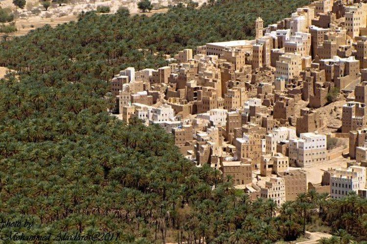 وكيل محافظة حضرموت يوجه بوقف صرف الأراضي بمديرية العبر