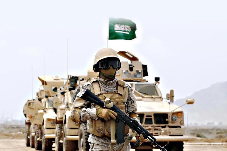 الحكومة السعودية تخصص 51 مليار دولار للإنفاق العسكري في 2019