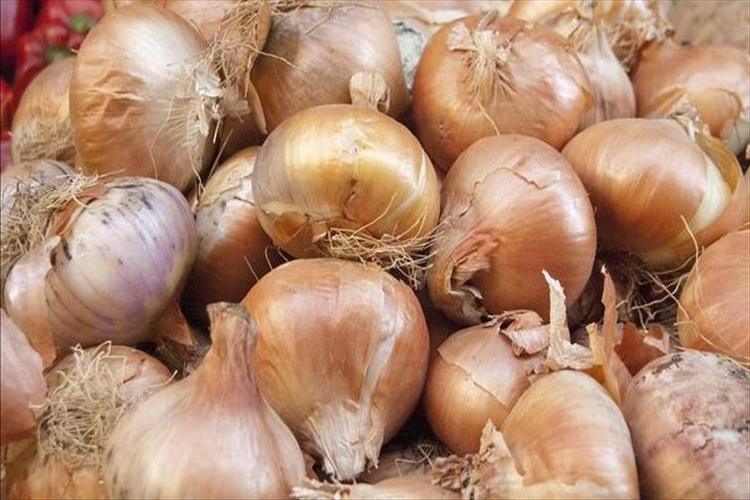 خضروات تكافح سرطان القولون والمستقيم.. تعرف عليها