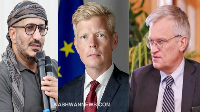 طارق صالح يلتقي رئيس بعثة الاتحاد الأوروبي والمبعوث السويدي إلى اليمن