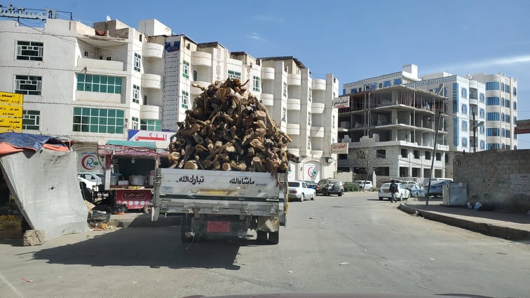 كيف أثرت الحرب في اليمن على الغطاء النباتي والتنوع الحيوي؟