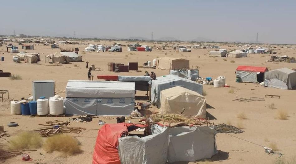 بالأرقام.. تنفيذية النازحين في اليمن تطلق نداء استغاثة لنقص الغذاء