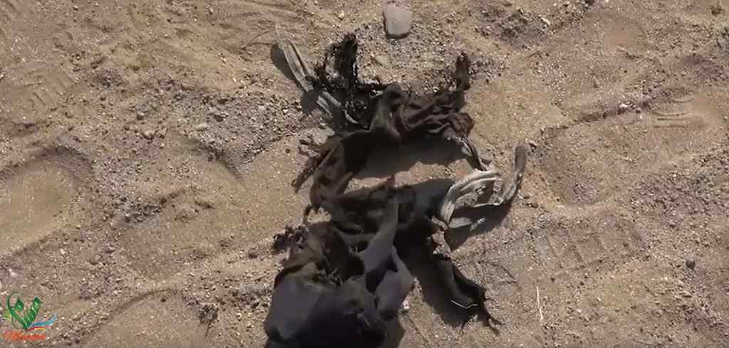 ألغام الحوثيين: 19 قتيلاً وجريحاً على الأقل خلال أيام